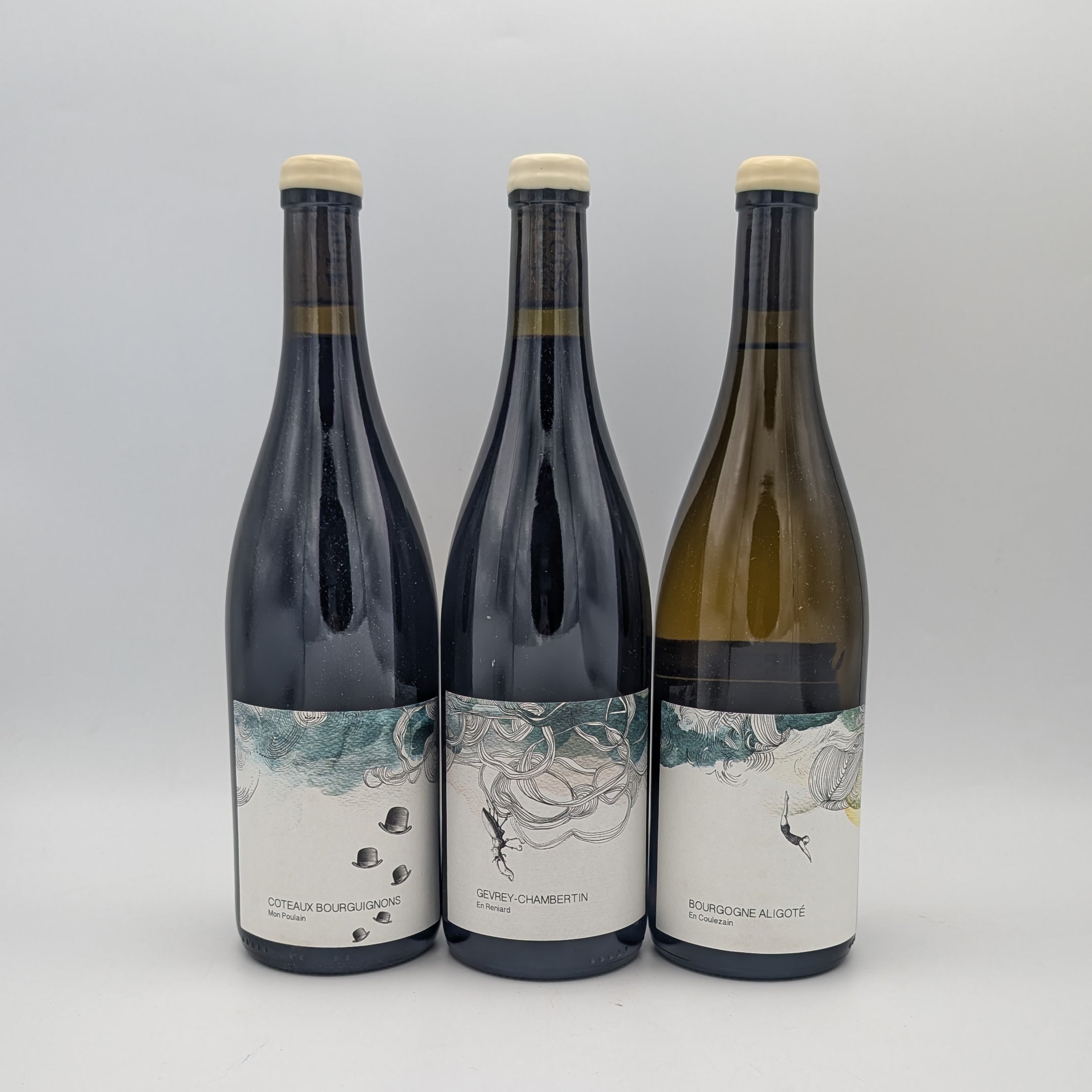Package Gevrey Chambertin En Reniard Les Horees 2022 – SipWines Shop