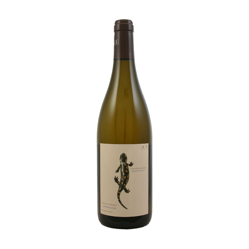 アンドレアスツェッペ ブラワーリベル2017 Andoreas Tscheppe アンドレアスツェッペ ブラワーリベル2017 Andoreas Tscheppe