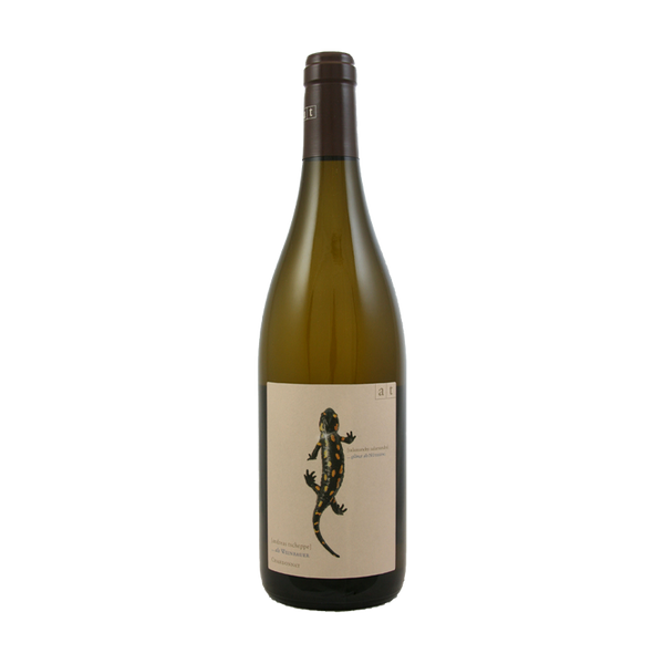 Andreas Tscheppe | Salamander 2021 | MORE Natural Wine