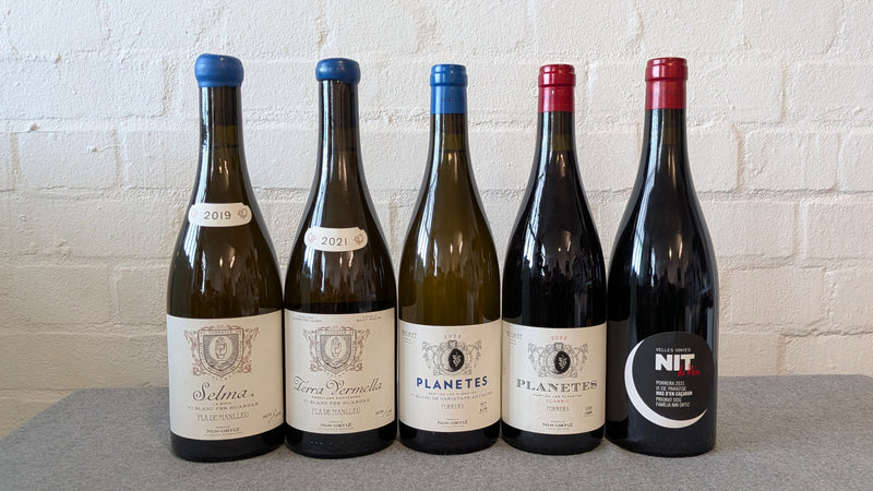 Família Nin Ortiz - the Soul of Modern Priorat