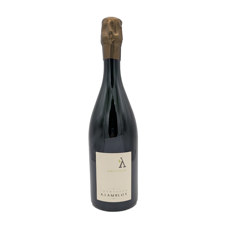 Champagne Amplitude, Alexandre Lamblot 2019