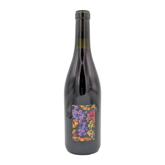 Package Gamay Les Pierres Dorées, Boulanger & Allante 2024