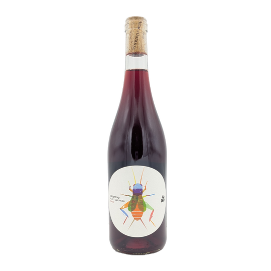 Suelo Vivo Tinto, Azul Y Garanza 2024