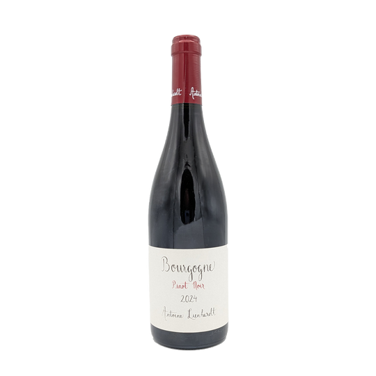 Bourgogne Pinot Noir, Antoine Lienhardt 2024