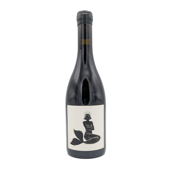 Bourgogne Rouge Gueule d'Amour, Vin Noe 2023