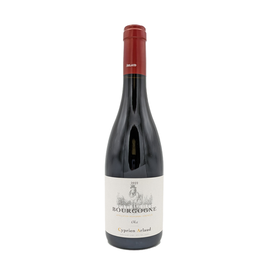 Bourgogne OKA, Cyprien Arlaud