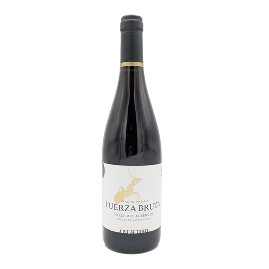 Fuerza Bruta, A Pie de Tierra 2024