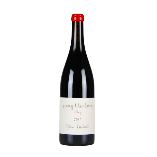 Gevrey Chambertin, Antoine Lienhardt 2023