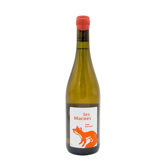 Savagnin Type Les Marnes, Tony Bornard 2018