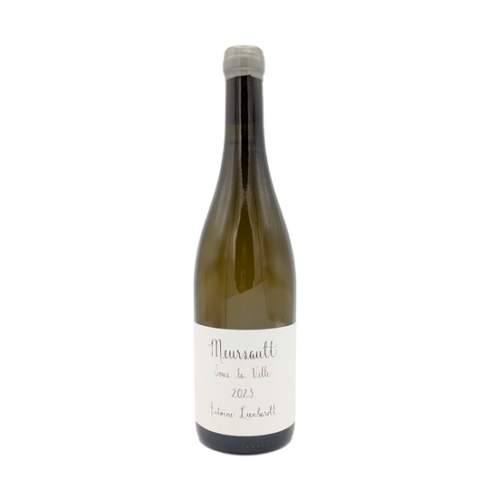 Mersault Sous La Velle, Antoine Lienhardt 2023