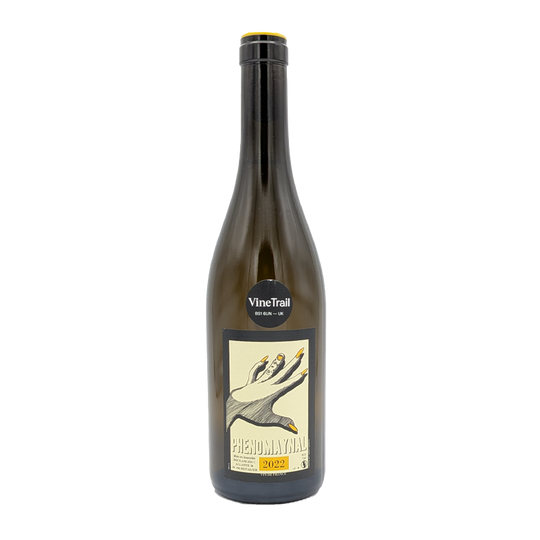 Package Phenomaynal Chardonnay, Boulanger & Allante 2022
