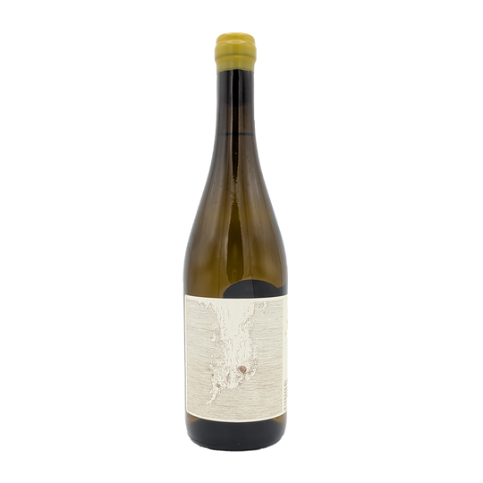 Sea of Dreams White, Vina Zorzal 2024