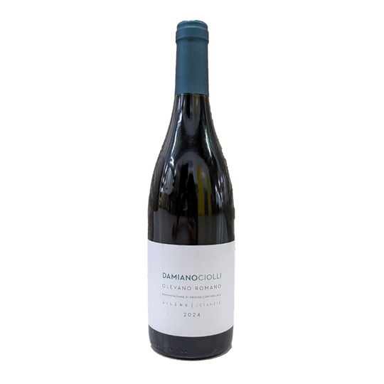 Cesanese Silene, Damiano Ciolli 2024