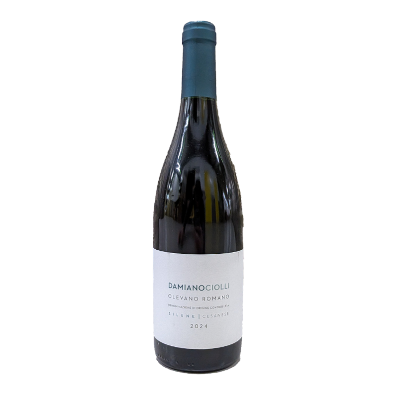 Cesanese Silene, Damiano Ciolli 2024