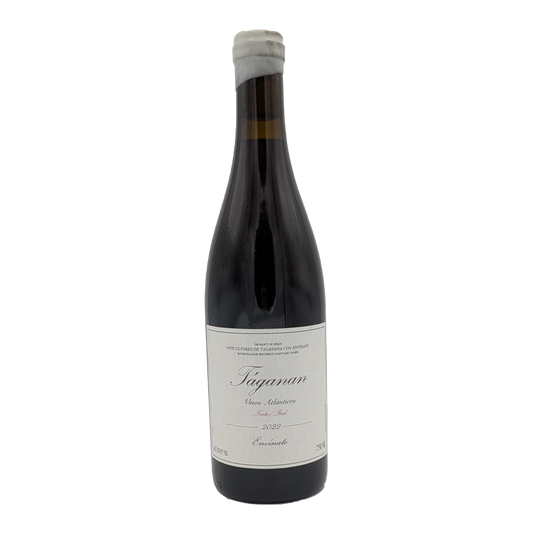 Taganan Tinto, Envinate 2022