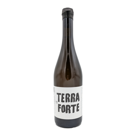 Terra Forte IGP Terre Siciliane, Tanca Nica 2025