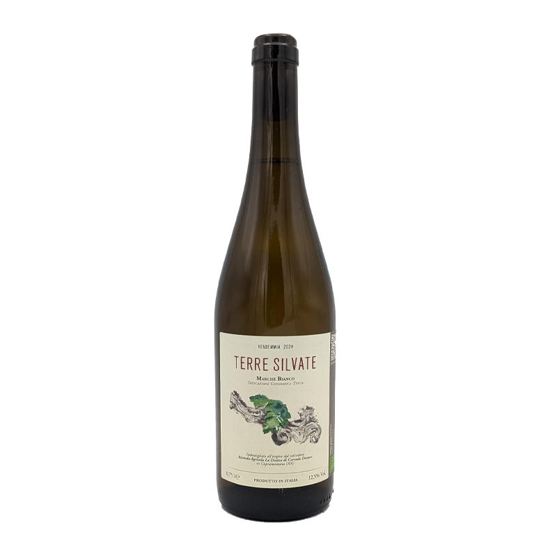 Terre Silvate Verdicchio, La Distesa 2024
