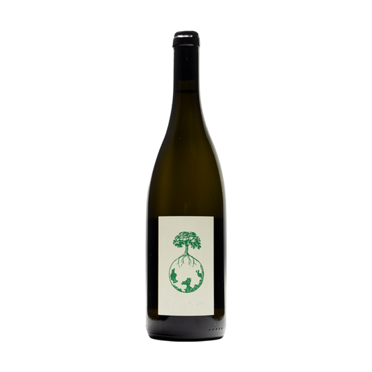 Dreigenerationen Wein, Werlitsch 2021