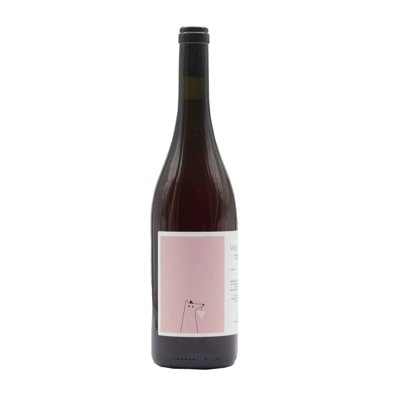 Volpe Rosa, Cantina Giardino 2022