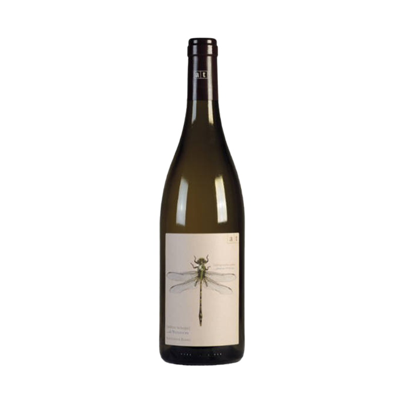 Green Dragonfly Sauvignon, Weingut Andreas Tscheppe 2017 - SipWines Shop