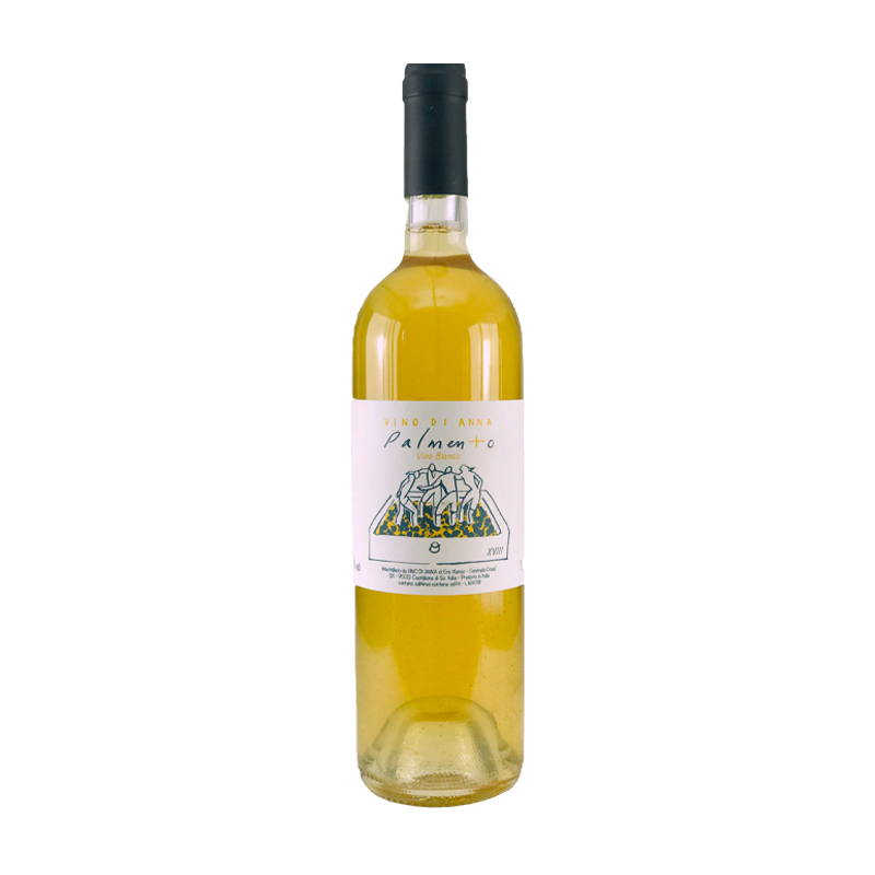 Palmento Bianco Vino di Anna 2019 - SipWines Shop