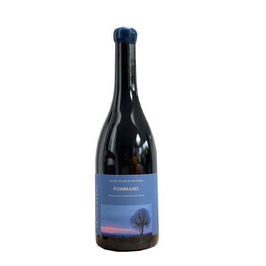 Pommard, Maison Skyaasen 2022