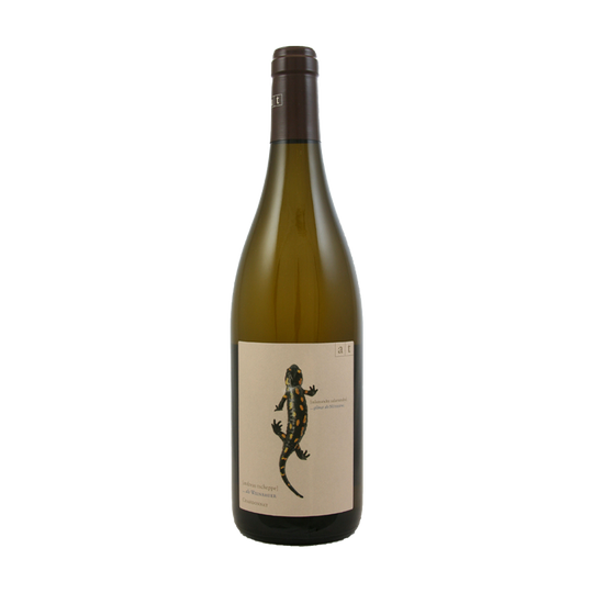Salamander Chardonnay, Weingut Andreas Tscheppe 2023