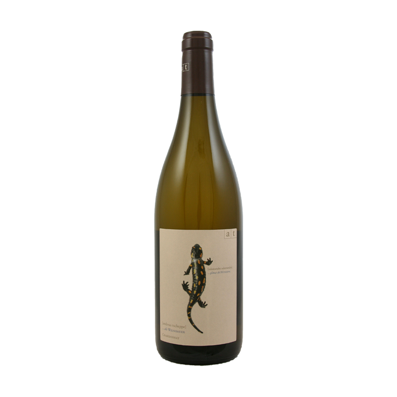 Salamander Chardonnay, Weingut Andreas Tscheppe 2018 - SipWines Shop