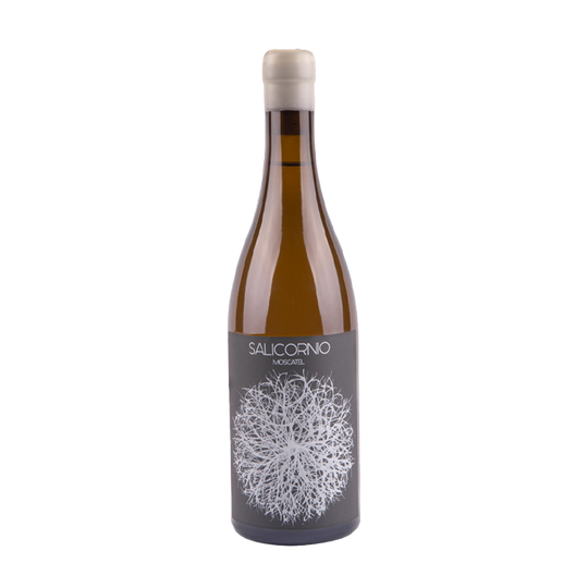 Salicornio Blanco Moscatel, Finca Casa Balaguer 2023