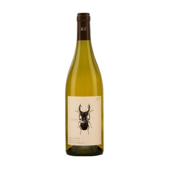 Stagbeetle Sauvignon Chardonnay, Weingut Andreas Tscheppe 2023