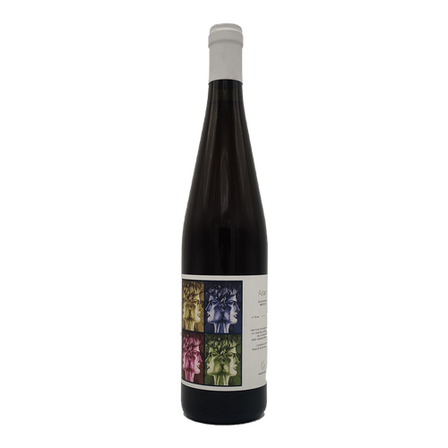 Adam, Cantina Giardino 2019 - SipWines Shop