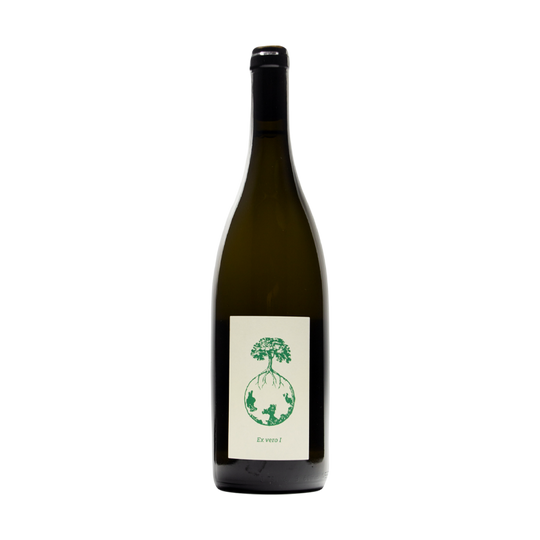 Ex Vero II, Werlitsch 2020