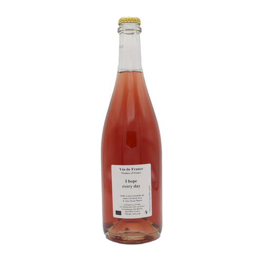 I Hope Everyday, Anders Frederik Steen 2021