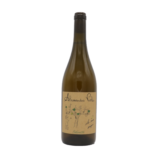 Le Mie Origini IGP Terre Siciliane, Alessandro Viola 2021