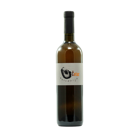 Malvazija, Vina Cotar 2018