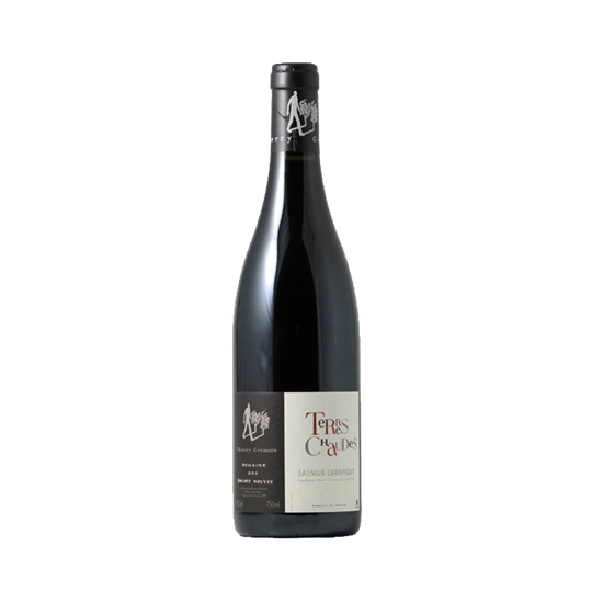 Saumur Champigny Terres Chaudes, Domaine Roches Neuves 2021