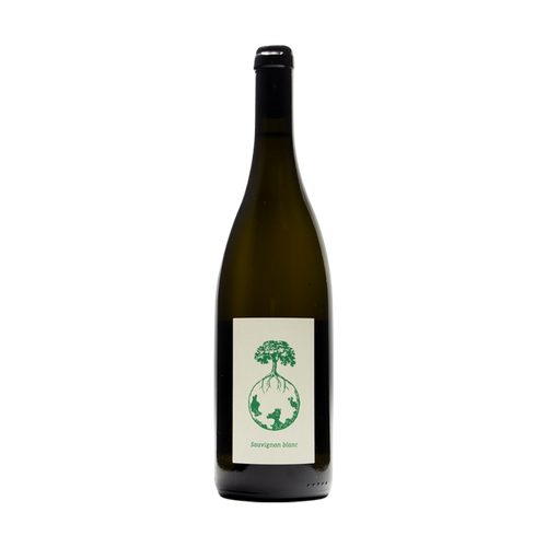 Sauvignon Vom Opok, Werlitsch 2017 - SipWines Shop