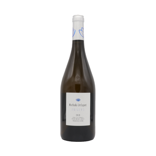 Univers, Muchada-Leclapart 2022